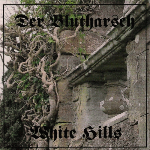White Hills : Der Blutharsch - White Hills